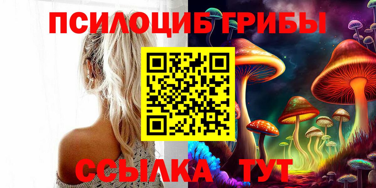 Галлюциногенные грибы ЛСД  Вход с VPN  Псилоцибиновые грибы MAGIC MUSHROOMS  Осинники 